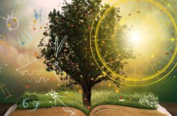 Horoscopul săptămânii 29 septembrie - …