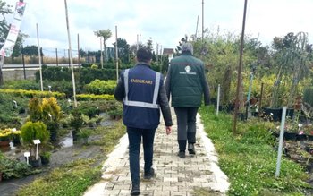 Continuă controalele polițiștilor de imigrări …