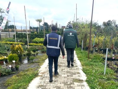Continuă controalele polițiștilor de imigrări …