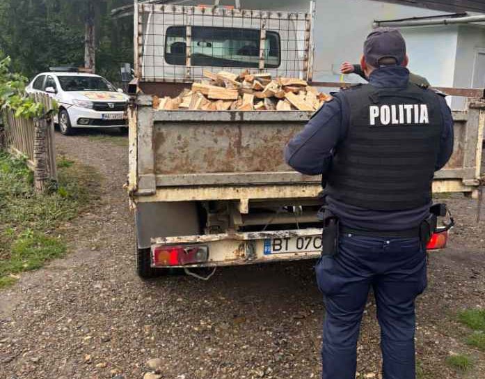 Sancțiune de 2.000 de lei și material lemnos confiscat
