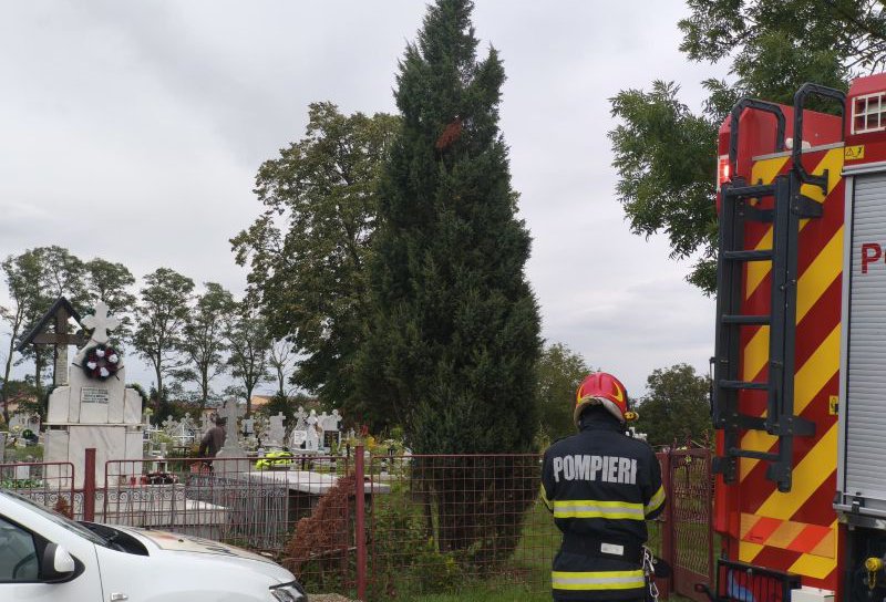Bărbat salvat de pompieri după ce un mal de pământ s-a prăbușit peste el în comuna Hudești