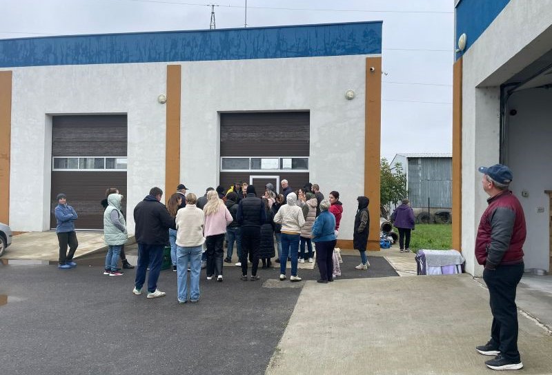 Campania de sterilizări 2.0 la Flămânzi: un nou record – 120 de animale într-o singură zi!