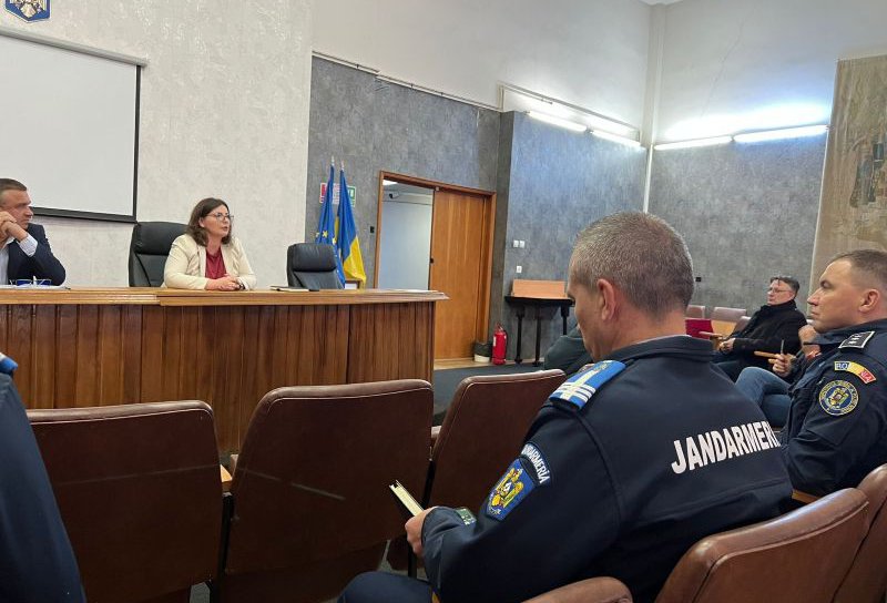 Focar de rabie la o bovină din localitatea Hilișeu-Crișan