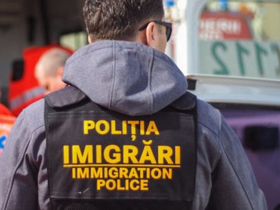 Polițiștii de imigrări verifică legalitatea …
