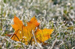 Temperaturile scad brusc în toată …