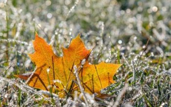 Temperaturile scad brusc în toată …