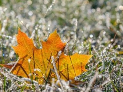 Temperaturile scad brusc în toată …