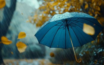 Când vin ploile și când …