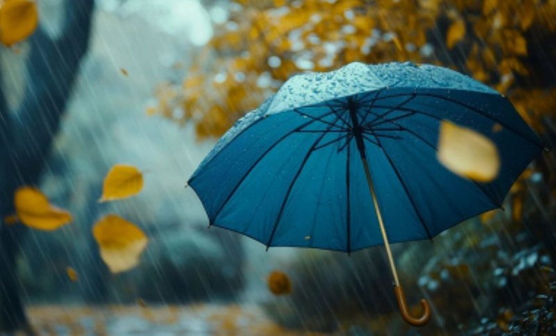 Când vin ploile și când se răcește vremea în România. Meteorologii anunță ce fel de toamnă vom avea în următoarele săptămâni