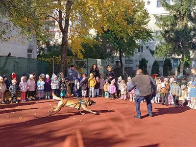 Jandarmii botoșăneni, din nou la …