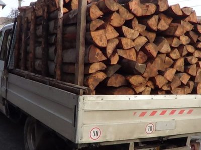 Doi bărbați sancționați pentru transport …