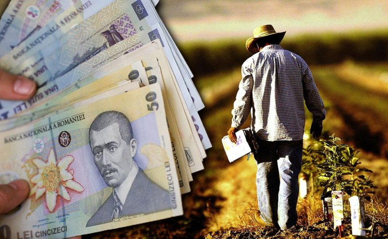 APIA a început plățile și pentru fermele medii și mari