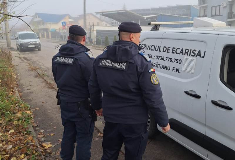 Botoșăneancă amendată după ce a lăsat în libertate pe spațiul public, un câine agresiv