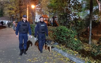 Dosar penal pentru doi tineri …