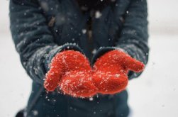 Când ar putea apărea primele …