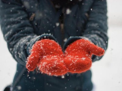 Când ar putea apărea primele …