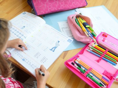 Se schimbă regulile pentru temele …