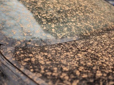 Val de praf saharian deasupra …