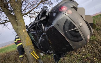 O mamă și doi copii …