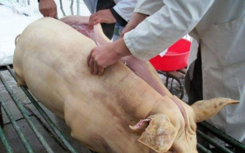 ANSVSA reamintește regulile privind comerțul de sărbători: Carnea de porc provenită din sacrificări în gospodărie nu poate fi comercializată