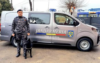 CIHA, O CĂȚELUȘĂ DE NOTA …