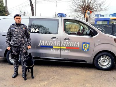 CIHA, O CĂȚELUȘĂ DE NOTA …