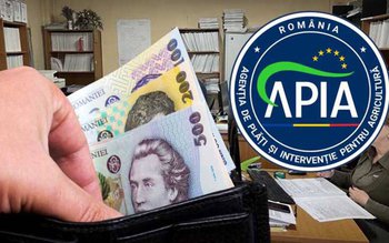 APIA Botoșani – Plățile în …