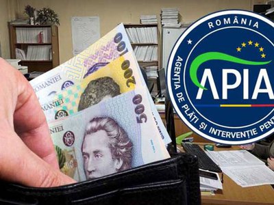 APIA Botoșani – Plățile în …
