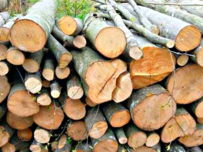 Material lemnos confiscat de polițiști …