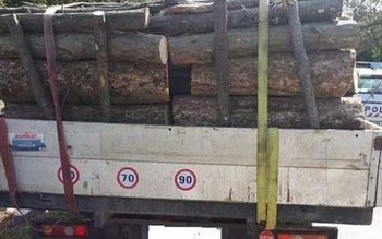 Sancțiune de 4.000 de lei …