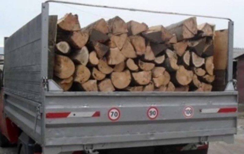 5 metri cubi de material lemnos de polițiștii dorohoieni