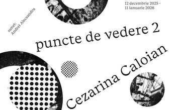 Puncte de vedere 2 – …