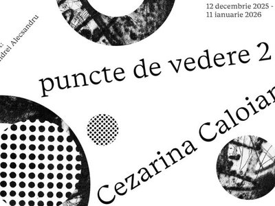 Puncte de vedere 2 – …