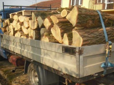 Material lemnos confiscat în urma …