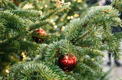 Ce să faci ca să …