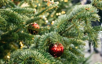 Ce să faci ca să …