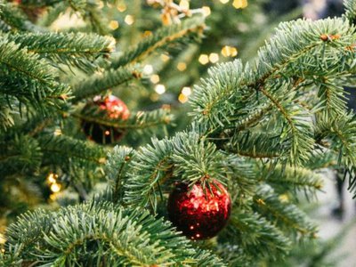 Ce să faci ca să …