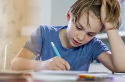 Ministerul Educației a emis ordinul. …