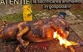 Recomandări ISU Botoșani