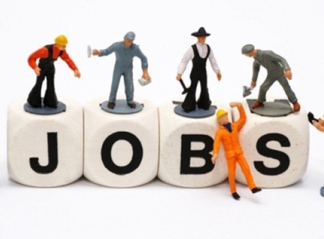 Locurile de muncă vacante la nivelul județului Botoșani - 15.12.2025