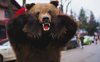 Festivalul de Datini și Obiceiuri …