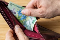 Crește punctul de amendă în …