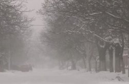 Ninsoare, polei, viscol și vânt …