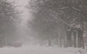 Ninsoare, polei, viscol și vânt …