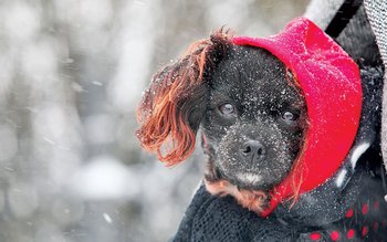 Un val de aer polar …