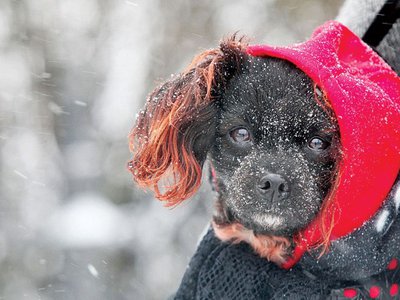 Un val de aer polar …