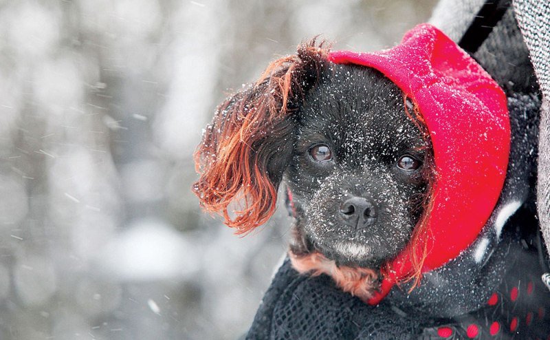 Un val de aer polar lovește România. Se anunță ninsori și ger cumplit de Revelion