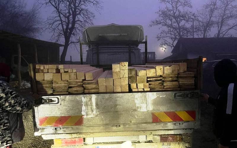 Transport ilegal de lemn descoperit de polițiști pe o stradă din Dorohoi