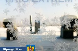 COD GALBEN DE GER pentru …