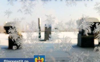 COD GALBEN DE GER pentru …